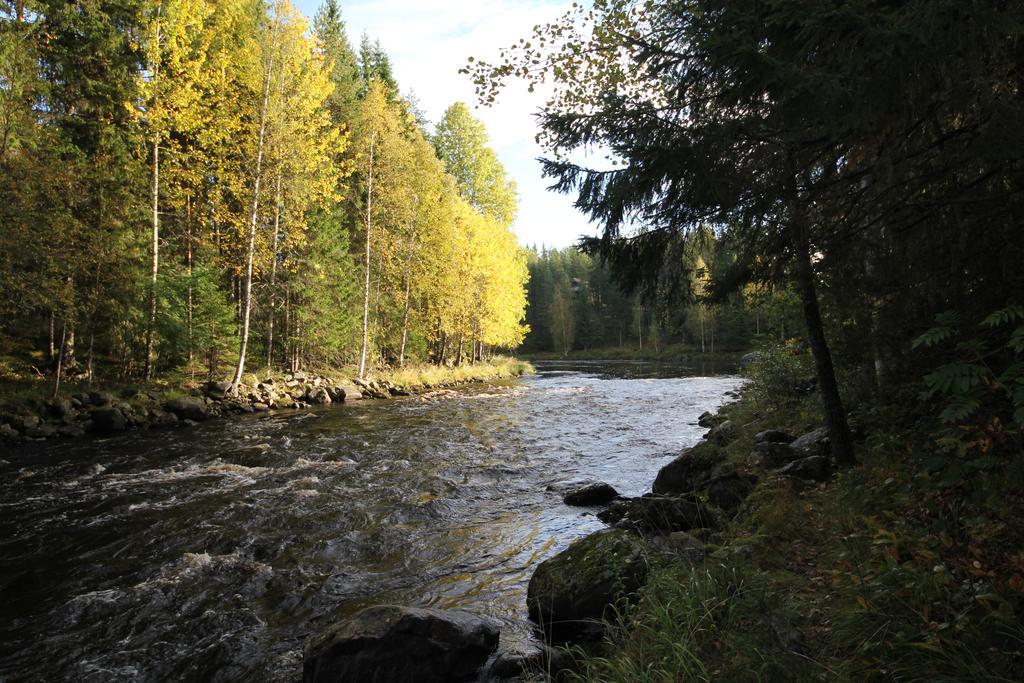 Keskikosken Lomamoekit Venajanjarvi Экстерьер фото